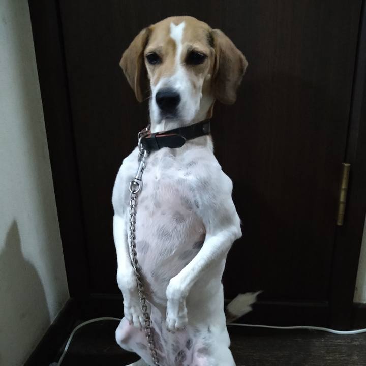 D116dd91 af48 46bf a525 56923e0d11b1 1664108215372