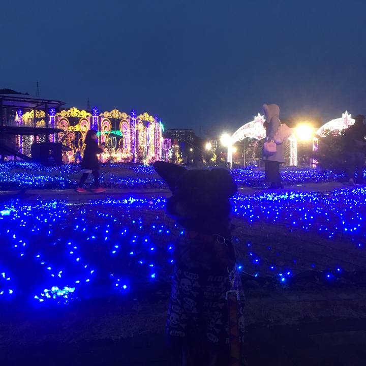 D1172ee1 cca9 499f bbb7 da57fdb41759 1544365666246