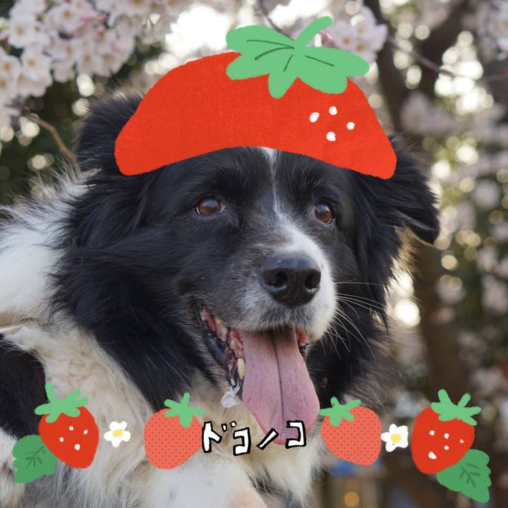 D1174075 dc6f 4c1f 962b 373fc7bca508 1775862804737