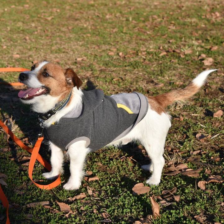 D11745e1 8a7c 4b33 87c5 6ae5b9ca70fa 1514460902441