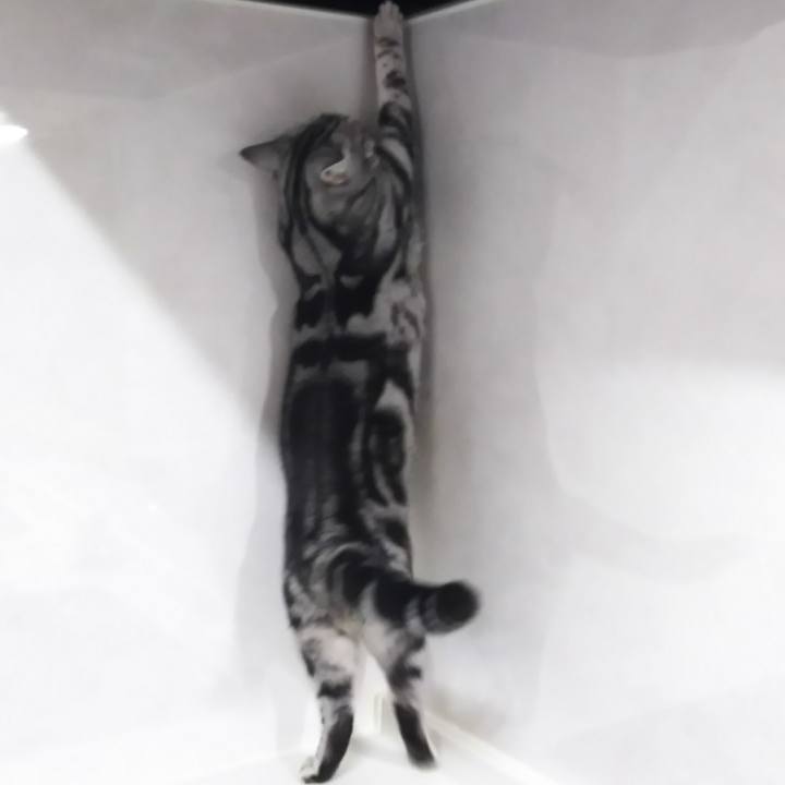 D1176a70 9f4e 4dcc b822 1023baf47ead 1571397006218