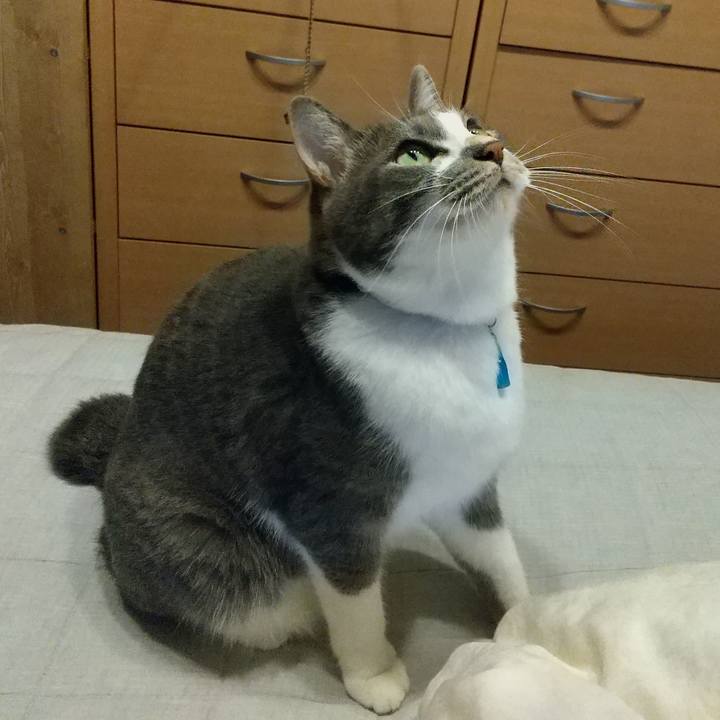 D117c5c6 eaf7 4ce3 b1c8 1ac7954195b2 1630918456447