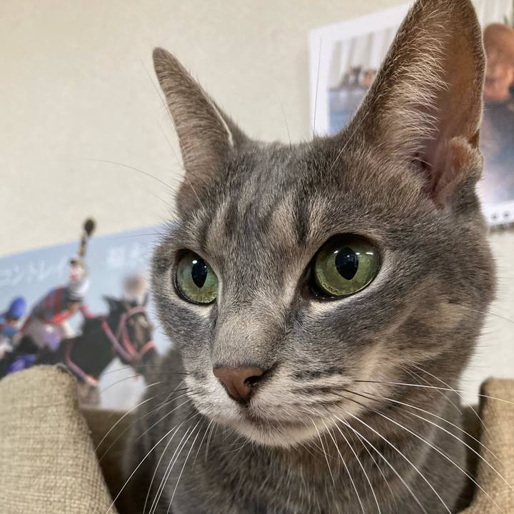 D1182410 7d32 4c23 b075 4d8328880d8f 1697277407868