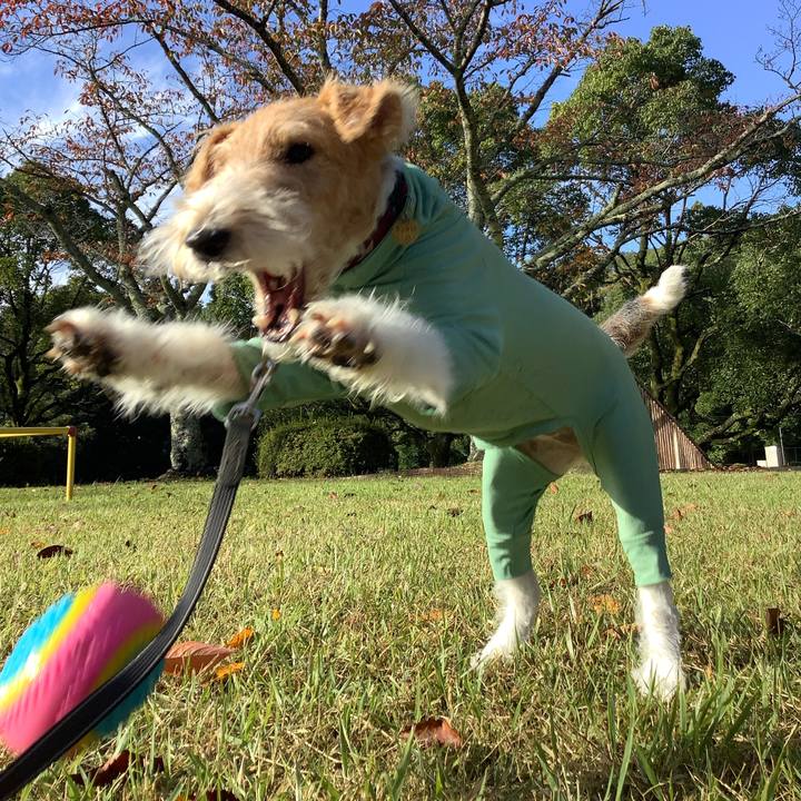 D1182c36 6125 4aba a1b2 97606a0585b1 1762088514976