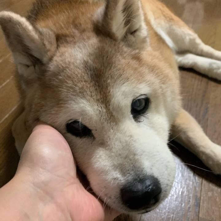 D1186d47 c347 4f43 85a0 d0fe07dd274c 1668853961343