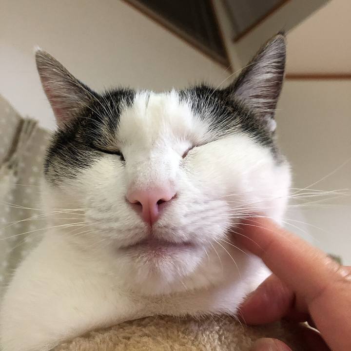 D118a189 1efd 4389 a1a2 fedb9d606c7b 1663758752720