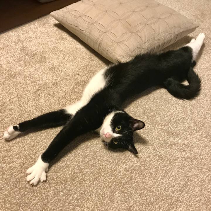 D118b3f7 d0ce 48f1 ae7d 3d9b6db8b10c 1512043490638