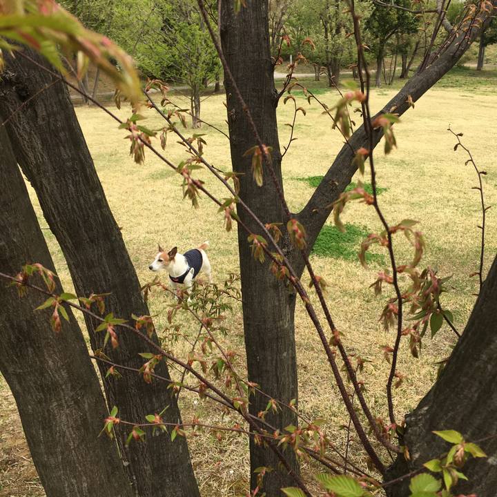 D1190194 a1eb 4a02 a783 d5dab5cba76a 1617578710236