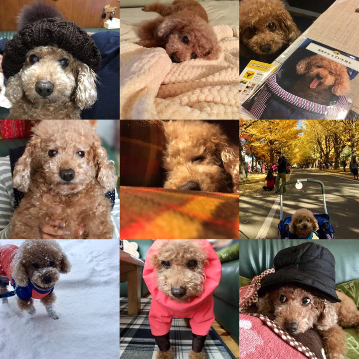 D119278c ee76 4746 a9d9 abf88c8f0d0e 1514722524488