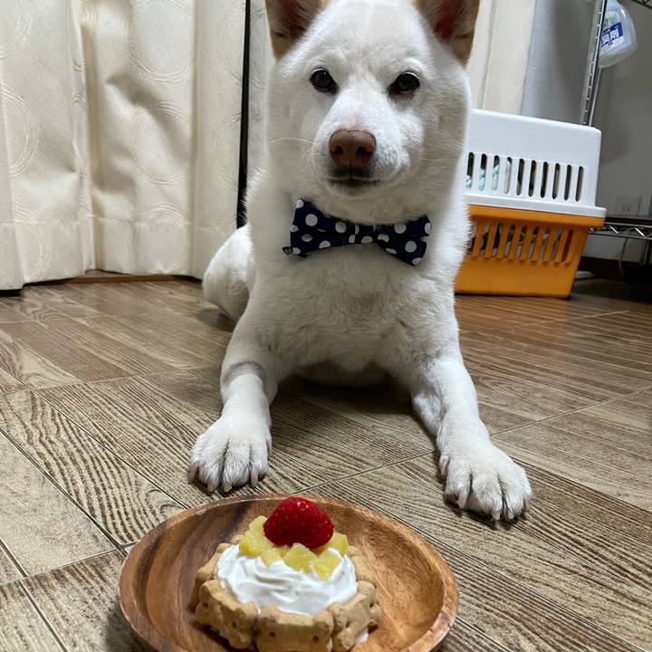 D119306d a1f2 49cc a578 3f53a0667ea3 1616934155289