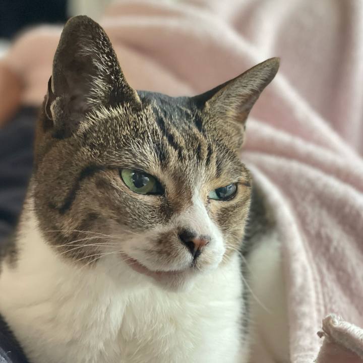 D1197447 fd58 4957 9449 c718a20a4c75 1652320662033