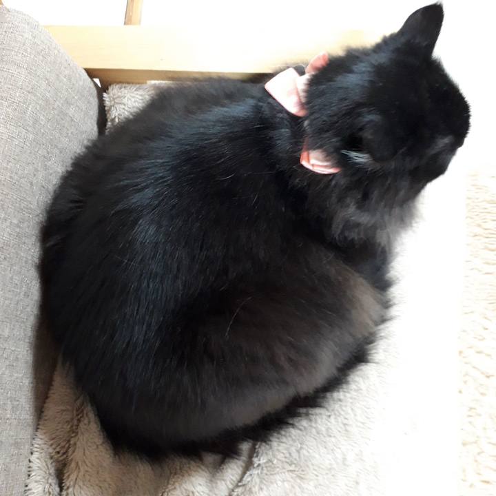 D11989d3 b579 4a6d a00b 6ed3013a7494 1520709995178