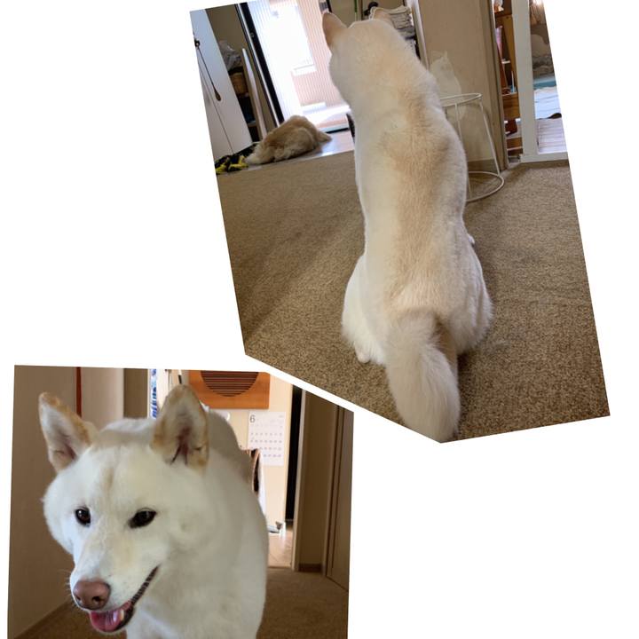 D119a3d4 e9c6 4ec9 b2f3 d123f3b7b5f1 1560468738569