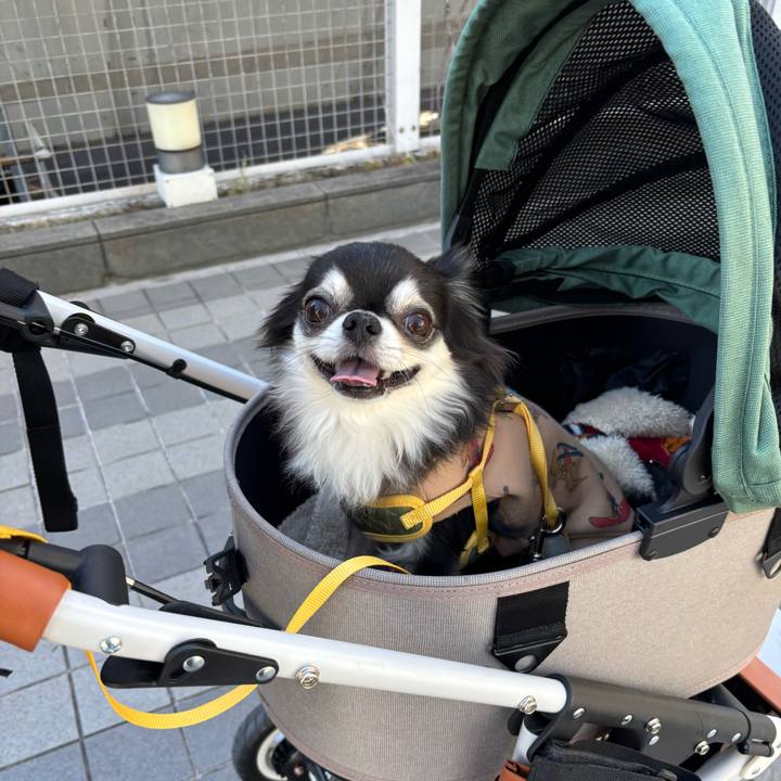 D119a507 27ad 4e2e b510 82642d9b4340 1735664116017