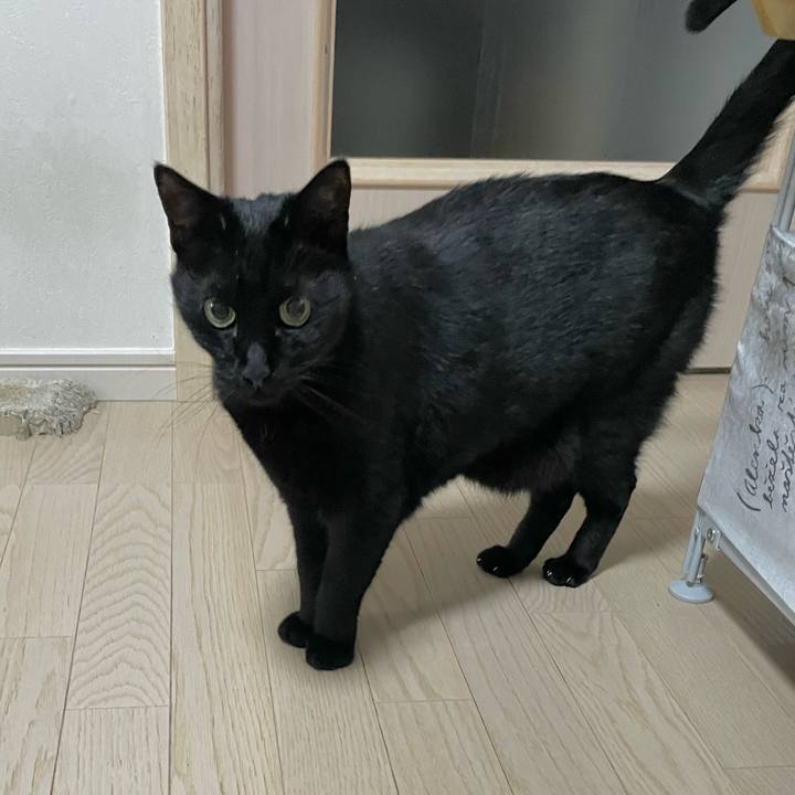 D119cd3e bf85 4e24 b965 02fb53773f14 1774779068342