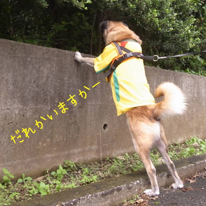 D119cdd5 183b 4870 ac54 e273d10d7249 1726714965130