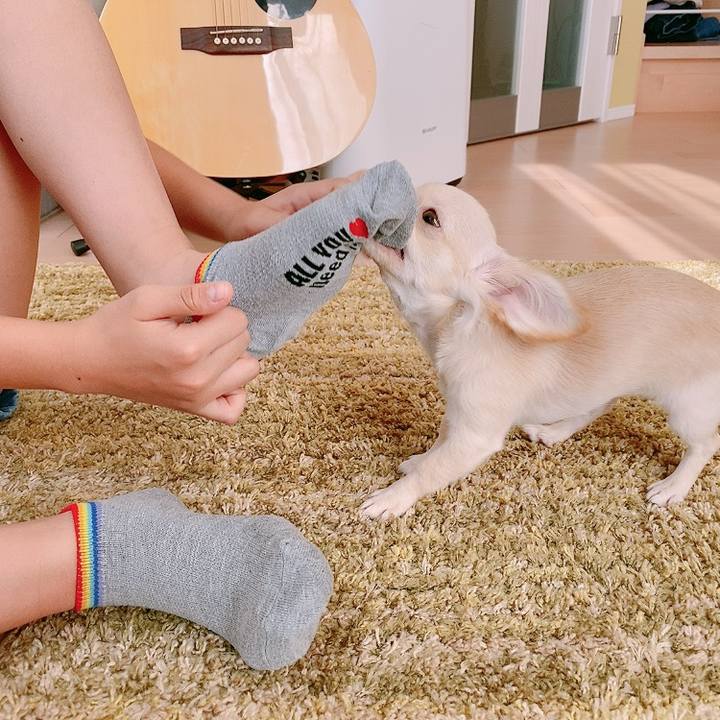 D119f3af f498 4e72 9097 5d7f98aad606 1593929349538