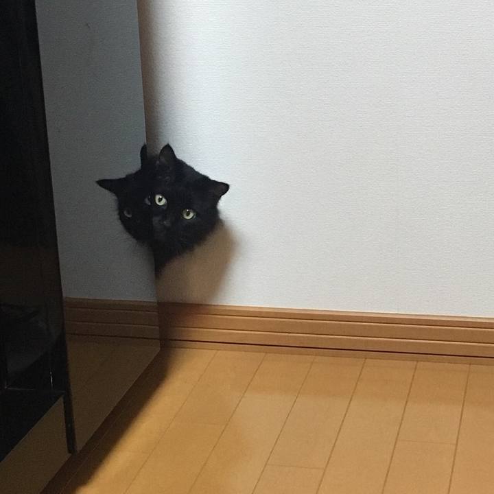 D119fa12 32aa 48ed b338 c22cff380bf5 1573302798736