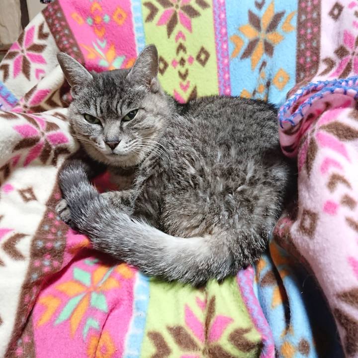 D11a6f66 4c96 4d77 b1a8 0c961cf4b06c 1584913728442