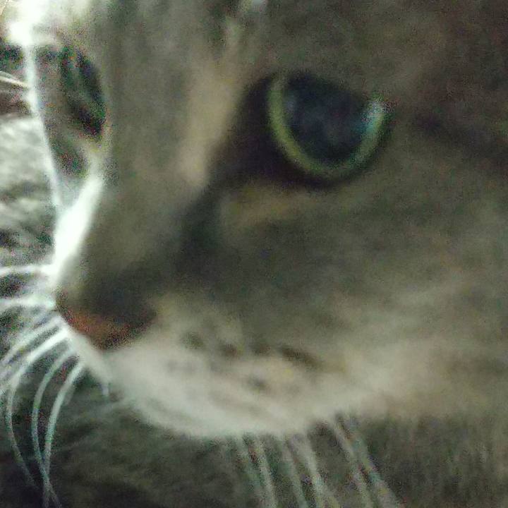 D11a7109 ba01 4b40 b14c 07d60d1ff501 1681131345804