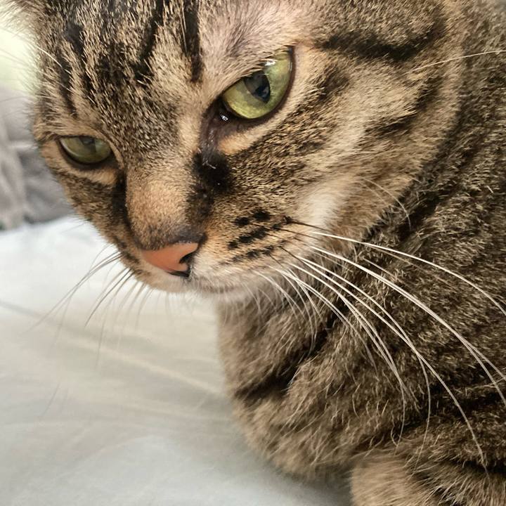 D11a9993 7a40 409c 9304 53673c552308 1737768277224