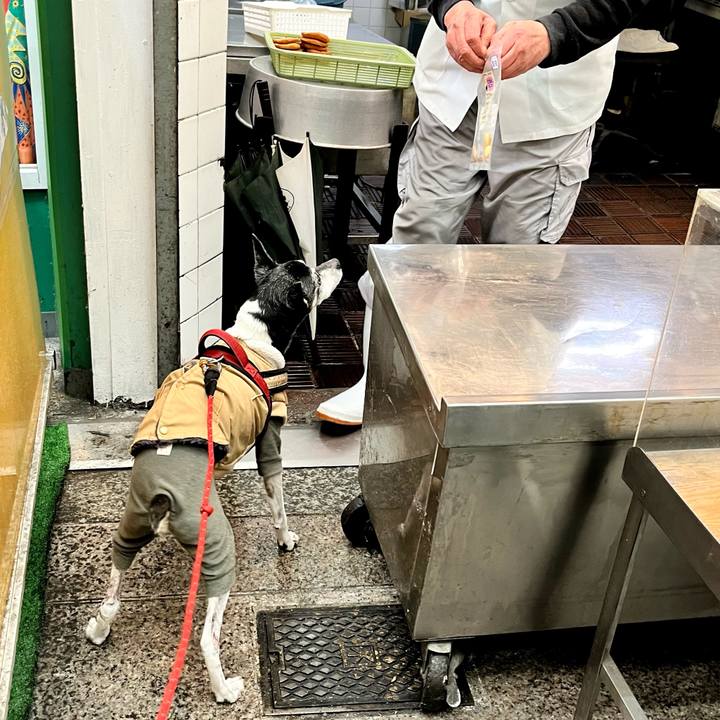 D11ac0b1 51af 45d1 bf4f e1842a807349 1648975904247