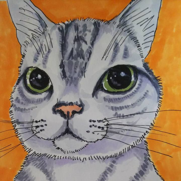 D11ae89d 1fcf 4268 9463 e2dcf7670bb1 1529817058409