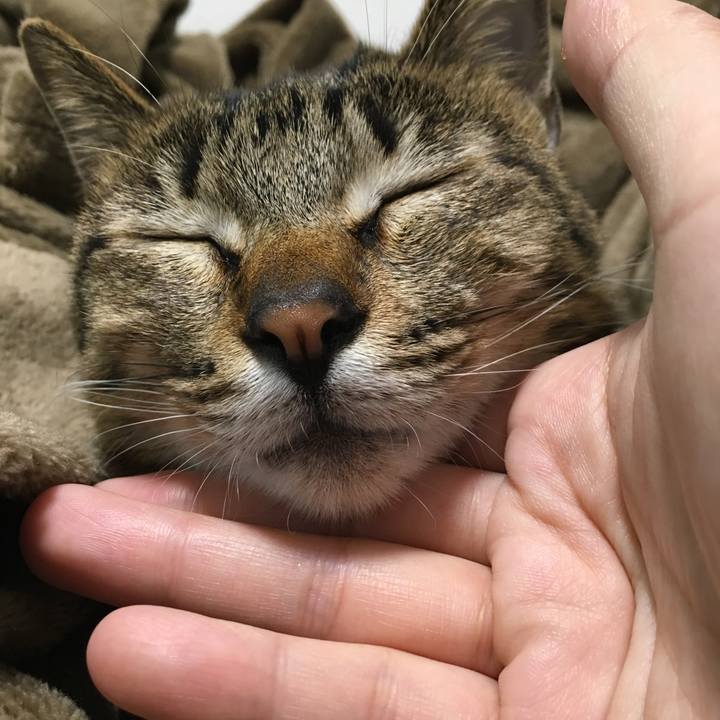 D11af32a 64d0 4349 ab69 b3b2c5404aa4 1519543586471