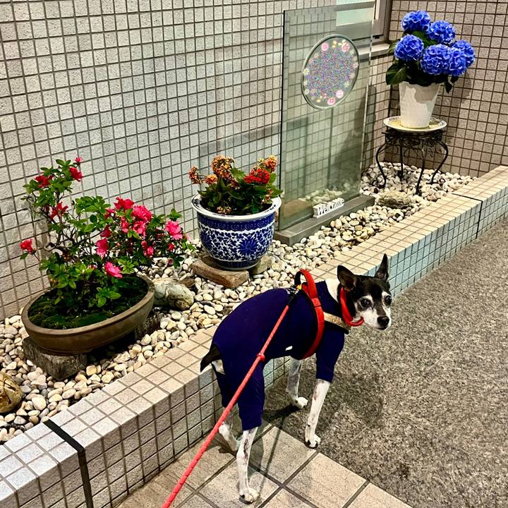 D11af64a a552 4e2f a1ec 1e45018a0608 1650322620145