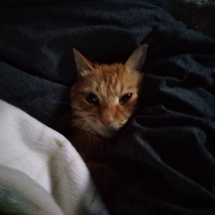 D11b4e09 4acc 4a9d 85df 156fbf7b176b 1666219072836