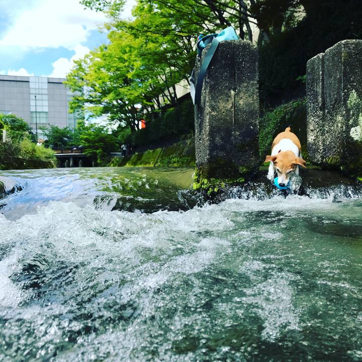 D11b8fbd 14c6 4577 a285 5fe6a835e4c8 1530350523305