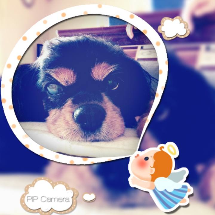 D11b90f2 e3ec 4cb5 b96a d24d37d3d626 1539871588868