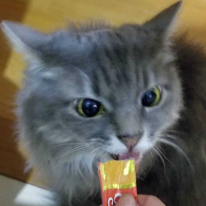 D11bc019 cef4 473d abd6 22e55d3ffb4b 1568278725846