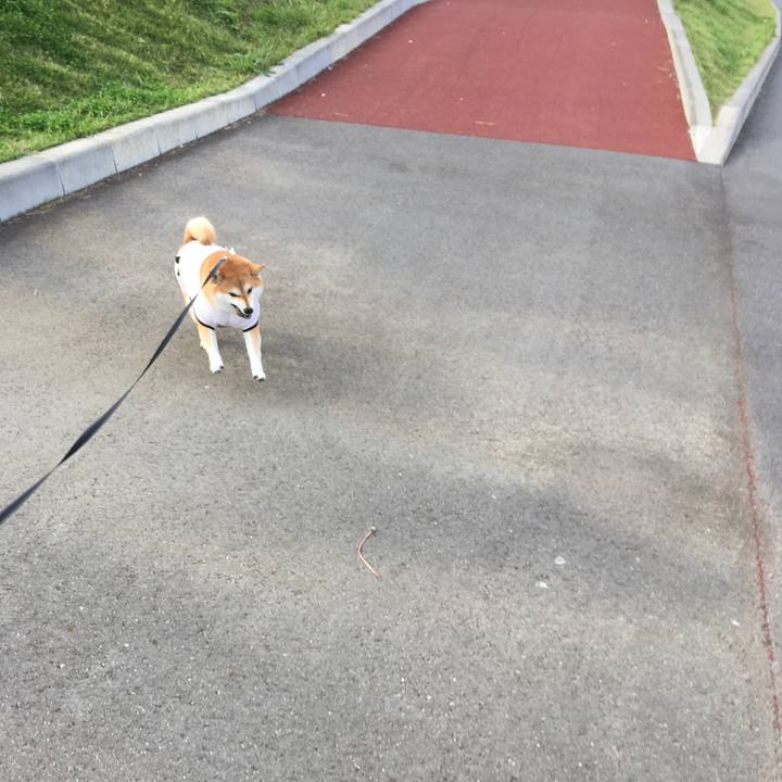 D11bfdf3 d756 4478 a600 5be6e88bd5f6 1539913138085