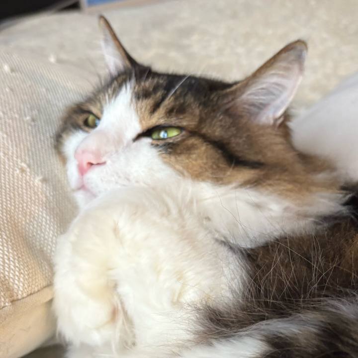 D11c1817 2501 4f21 a51d d30a99bc7178 1742083986584