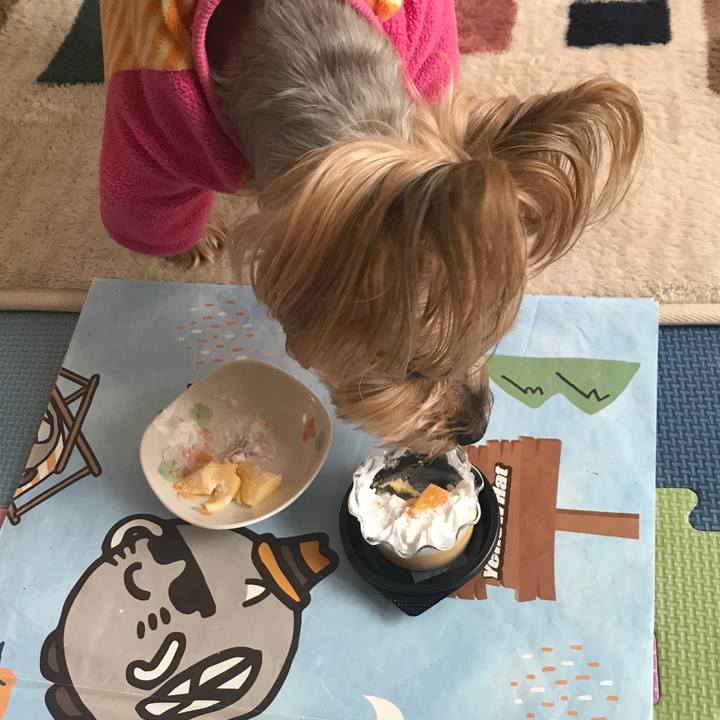 D11c2561 0bf3 4c51 804b a9770086ebb4 1642080736810