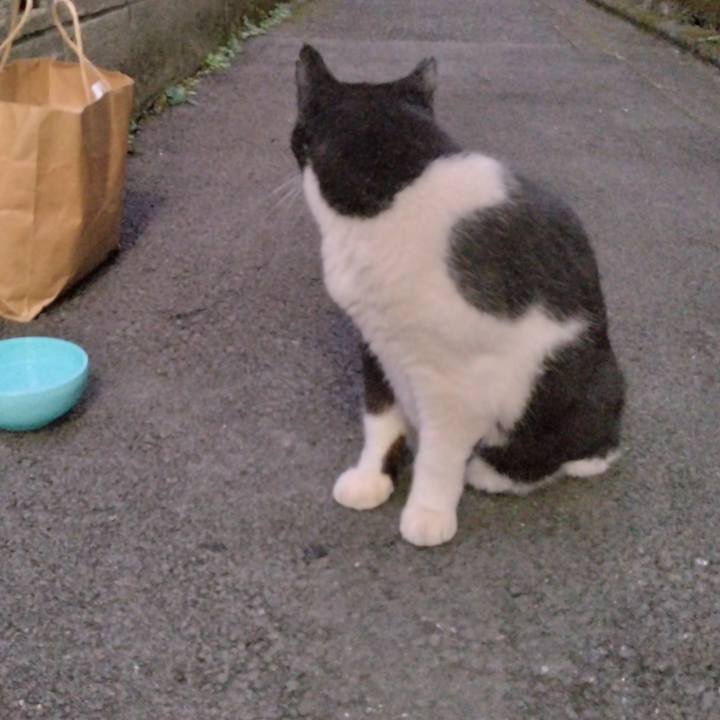 D11c7f6d f285 4cf5 9e04 e70f241d736b 1699017282918