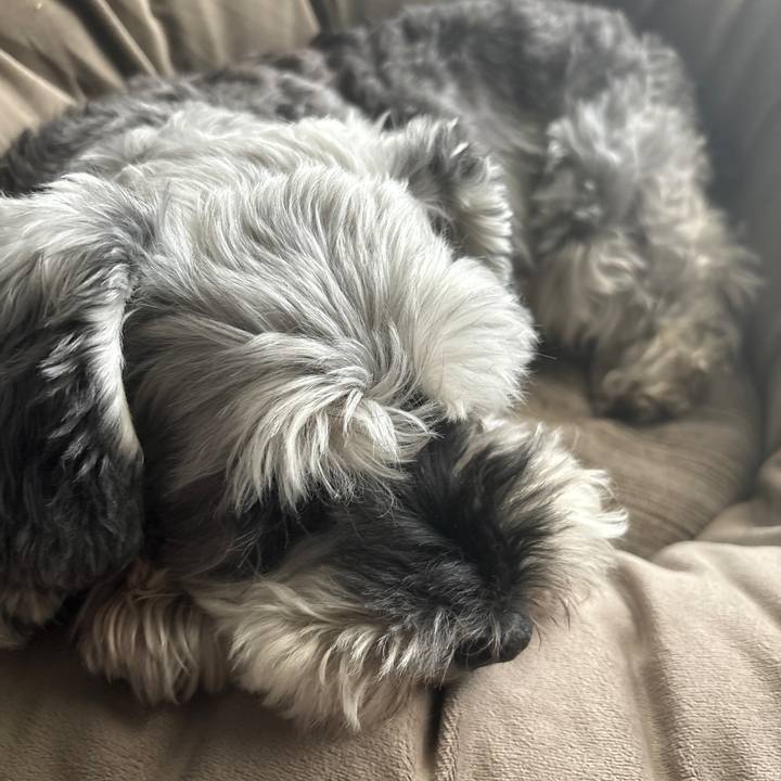 D11c83a0 5cde 4fa0 bfee 89040eb7ad32 1696555713944