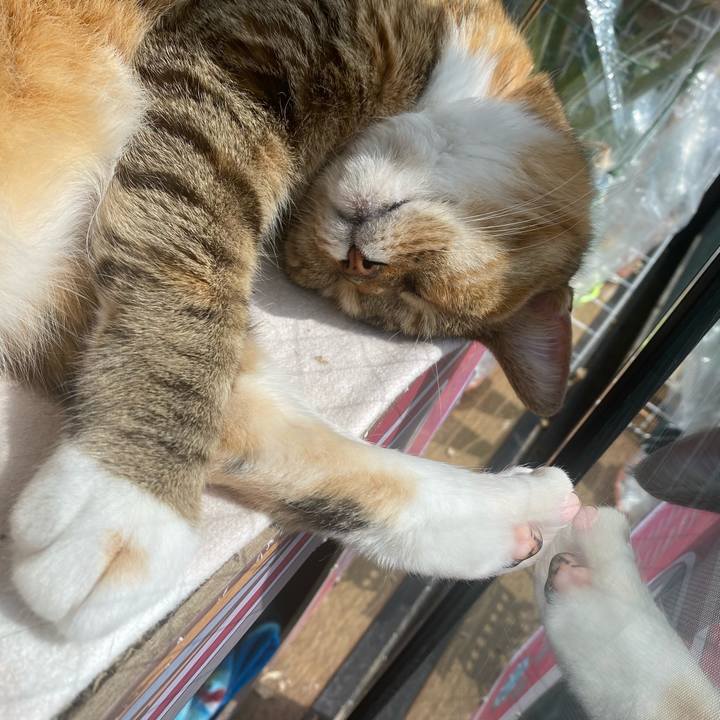 D11cc5a3 d817 40fb 895d 36fdd5614765 1647396669204