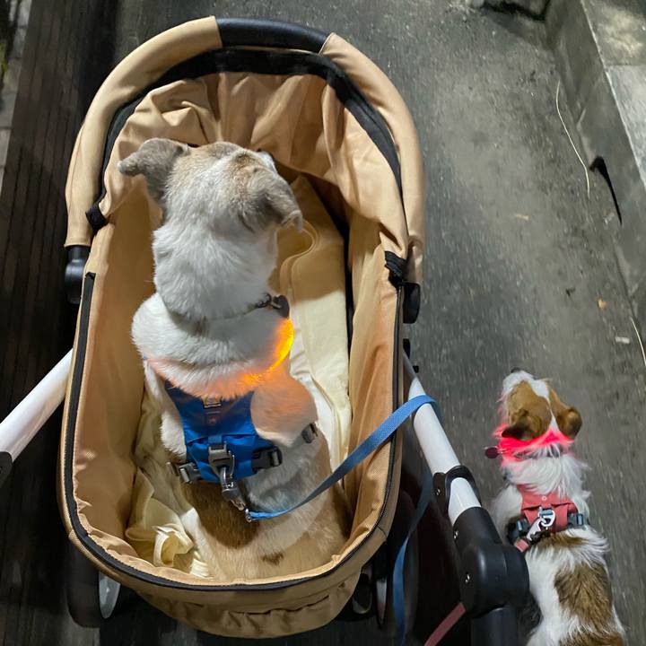 D11cc99f a884 4899 86e4 c73dfdb8a394 1691326144181