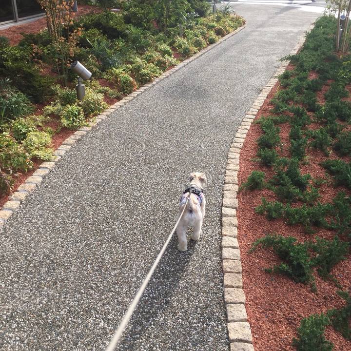 D11d13cf b0f2 4a88 aede d2e1ee6cfc8b 1565231123565