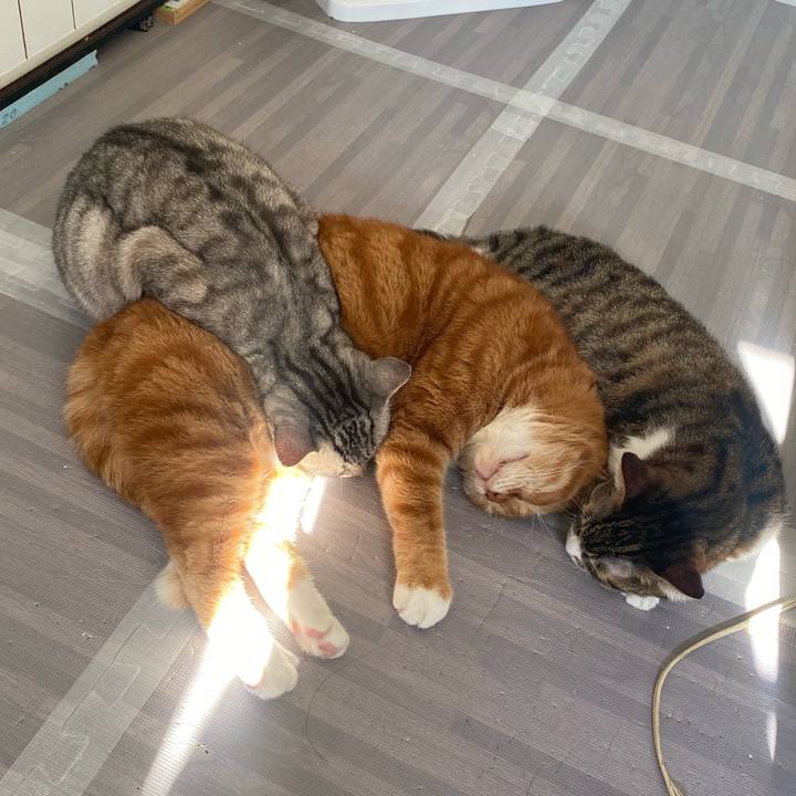 D11d1c9d ed2e 4a74 8d0b 62ff883cfae2 1640917791042