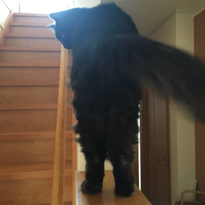 D11d2a22 3e10 494c bea7 ee3ed2667e09 1528971393715