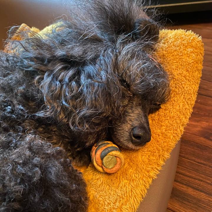 D11d3bf0 448c 426c a9b9 b68ec8952a06 1687300767242