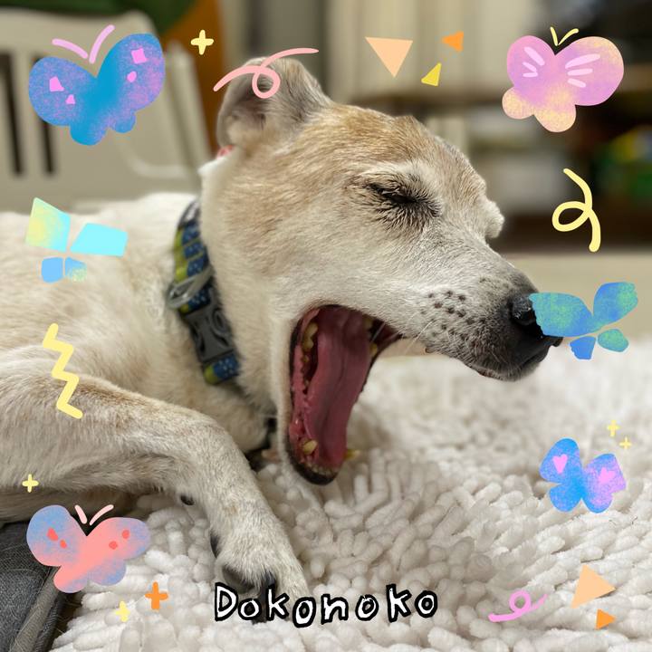 D11d40ed 27c8 4549 9cc7 5413b1899907 1711021788828