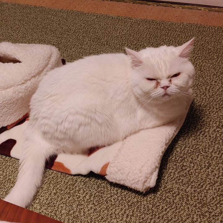 D11d5fd3 d612 44e8 a5a3 7f5a515c7368 1647784753235