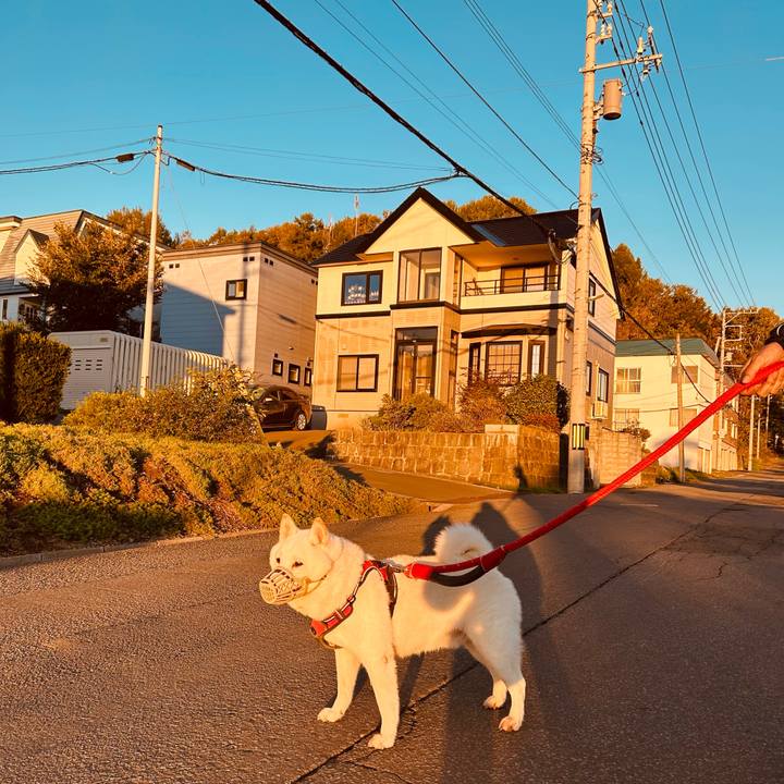 D11d6ee9 2531 4100 8f0f 8db25dd9893e 1759785671871