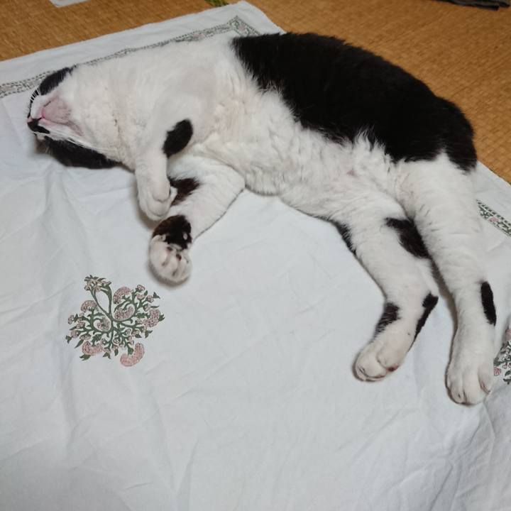 D11dcf0f 5255 4978 aa7e 11aa9d9b56ee 1632322083178