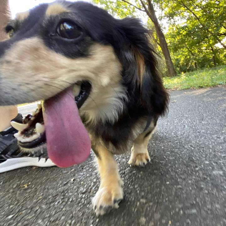 D11de938 2b18 422f b97f e97e23147c82 1693133909803