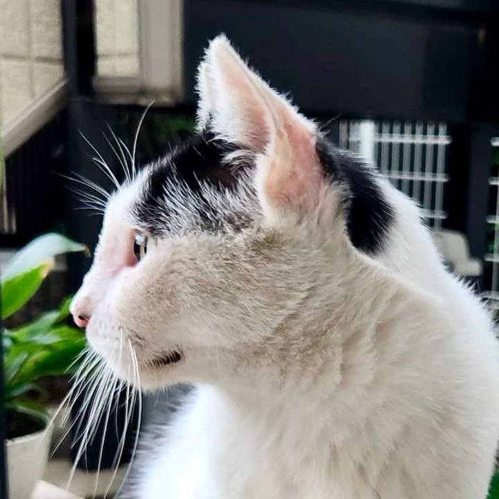 D11e533c 85bb 4397 b916 1db87cba7403 1758773045674